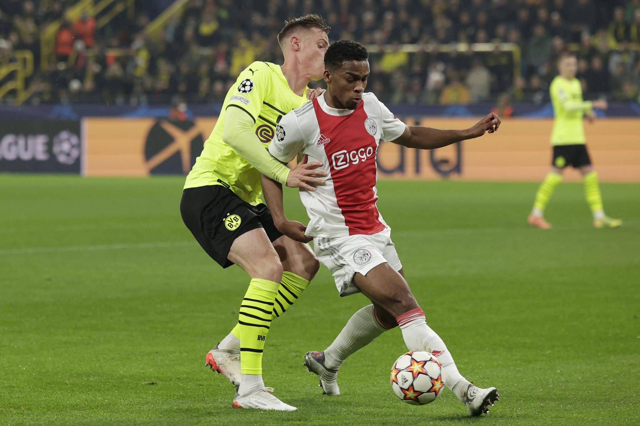 九游娱乐-从山东男篮围绕荷甲防线松动到拜仁慕尼黑伤情更新备战社区盾，莱万多夫斯基在德国队比赛中惊艳表现的简单介绍